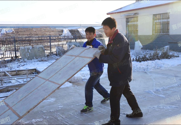 曹經理帶領員工用木板除雪掃雪圖片