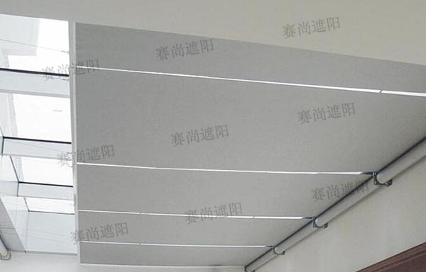 FSS電動天棚簾